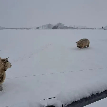 Und Anna Nommsen Feriehus *