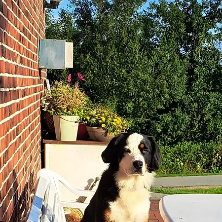 Feriehus Und Anna Nommsen