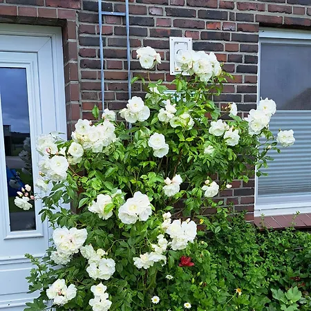 Und Anna Nommsen Pelvorm