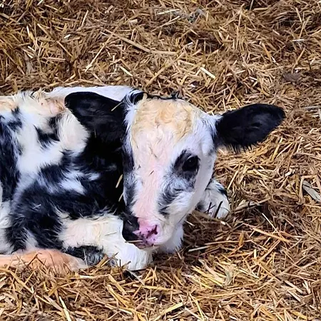 Feriehus Und Anna Nommsen