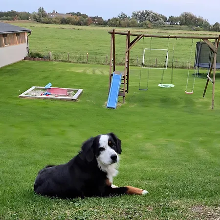 Und Anna Nommsen Pelvorm