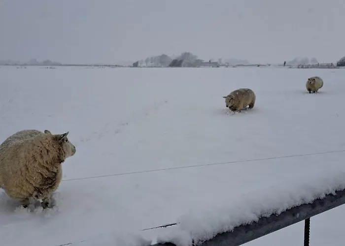 Und Anna Nommsen Semesterbostad *