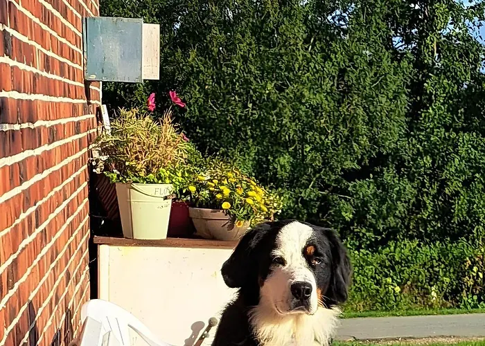 Semesterbostad Und Anna Nommsen